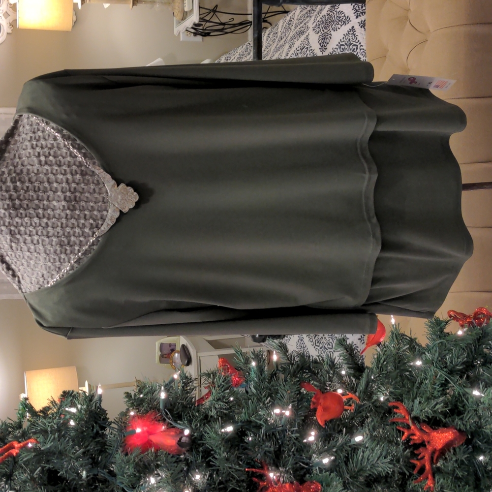 NWT Ashley Blue Tunic